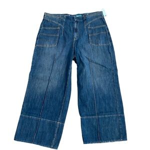 NWT Anthropologie Pilcro & the Letterpress wide leg jeans